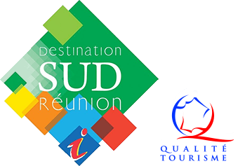 Logo Destination Sud