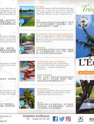 Destination Sud Réunion - Etang Salé - Chinese and German